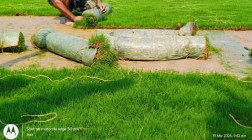 Garden Maintenance