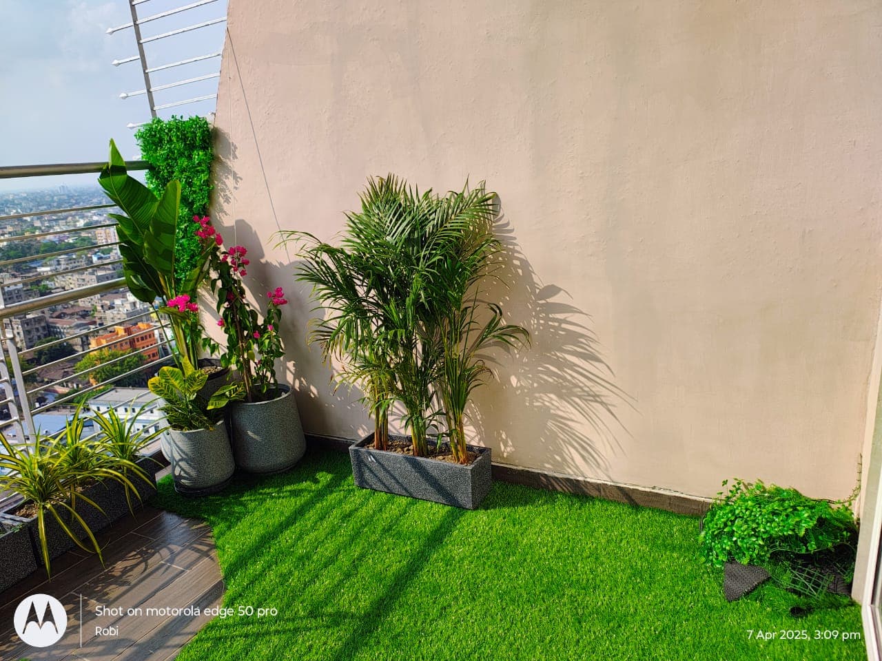 Artificial Grass Supply & Installation